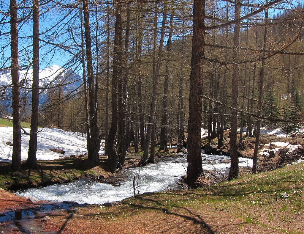 IMG_0062 (2)